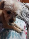 Sophia photo 1