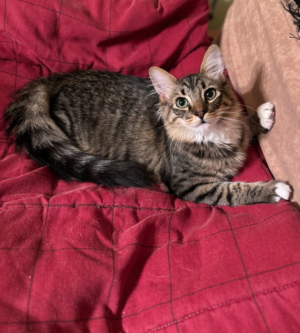 Gilligan