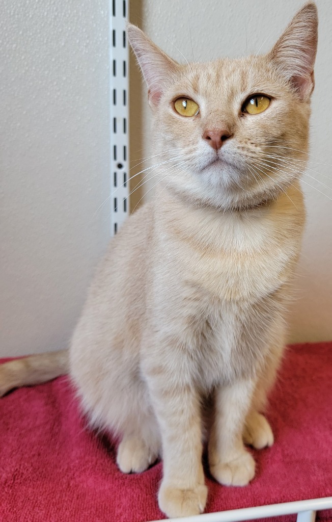 Mia
