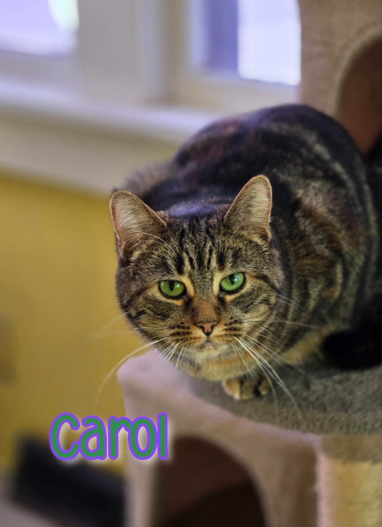 Carol