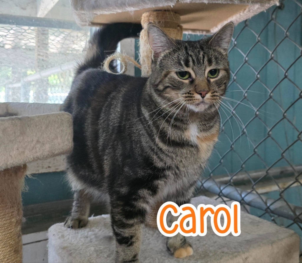 Carol