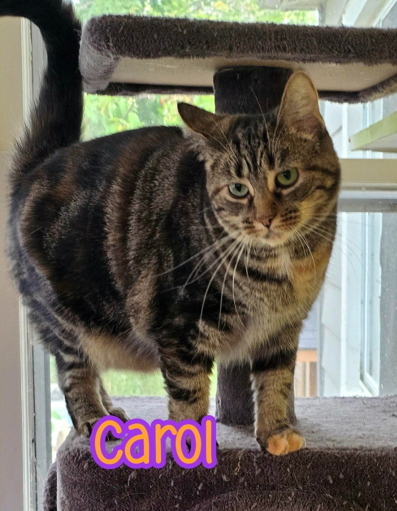Carol
