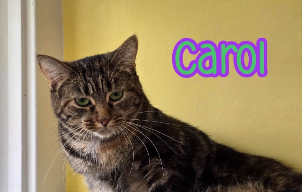 Carol
