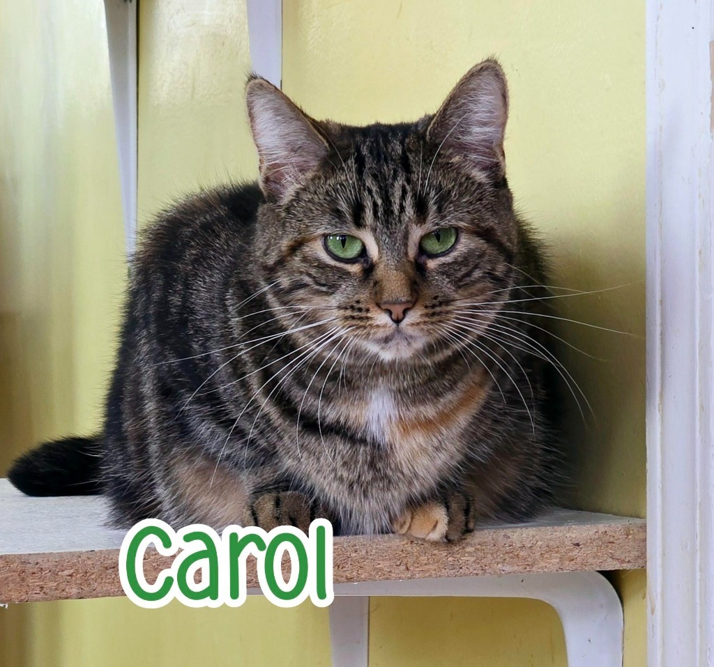 Carol