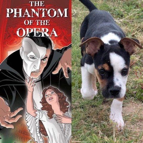 Phantom