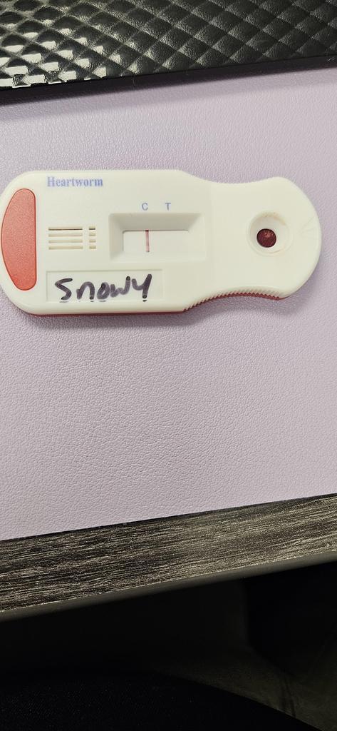 Snowy