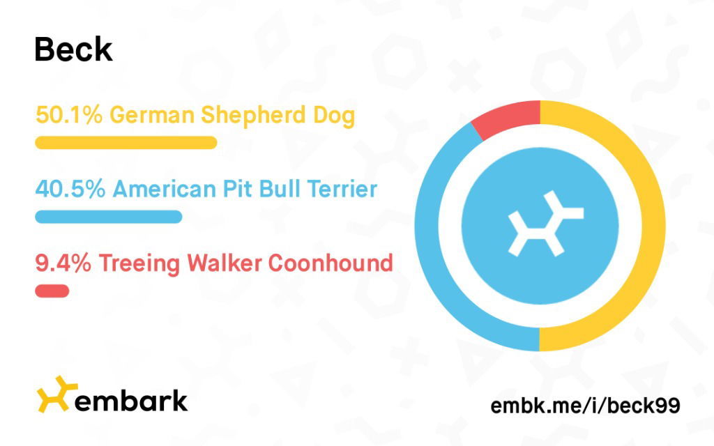 Beck, an adoptable German Shepherd Dog in St. Helens, OR, 97051 | Photo Image 2