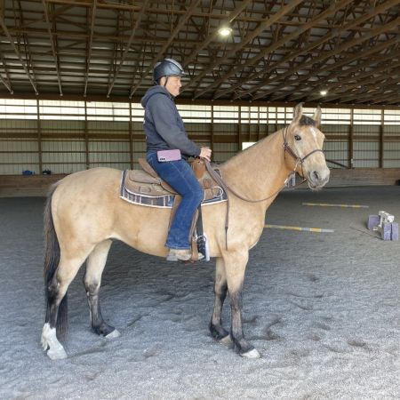 Horse