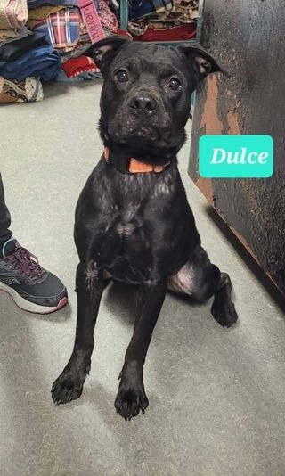 Dulce