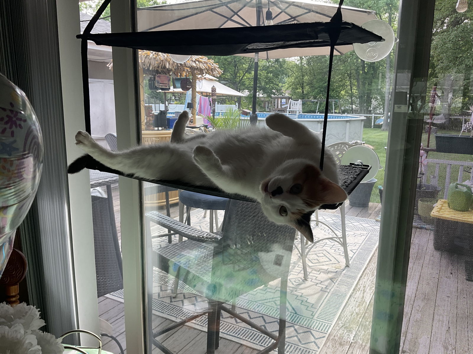 Tula