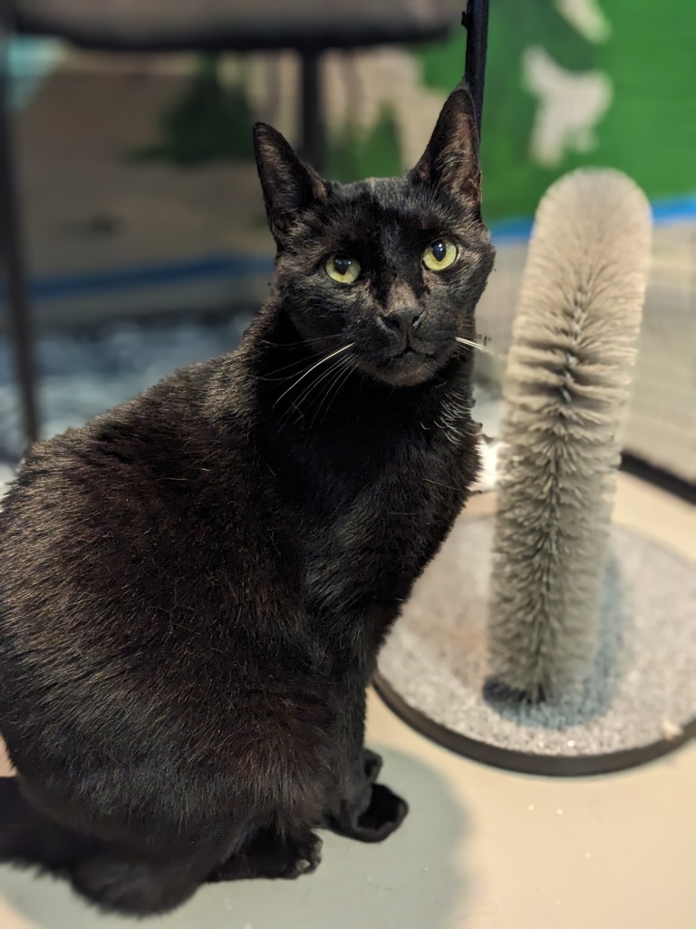 Oliver