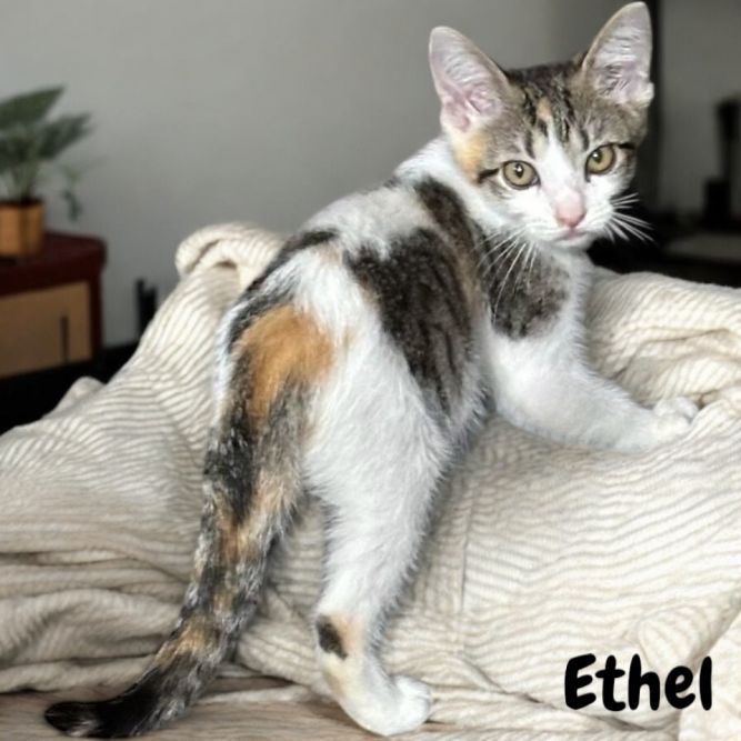 Ethel