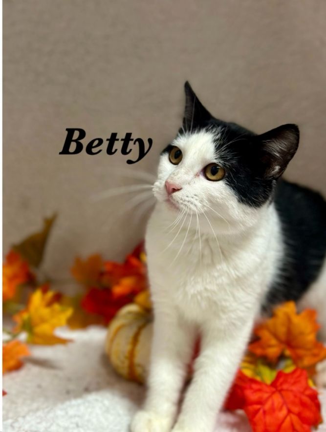 Betty