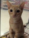 JACK photo 1