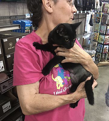 Blossom bonded with Cheri