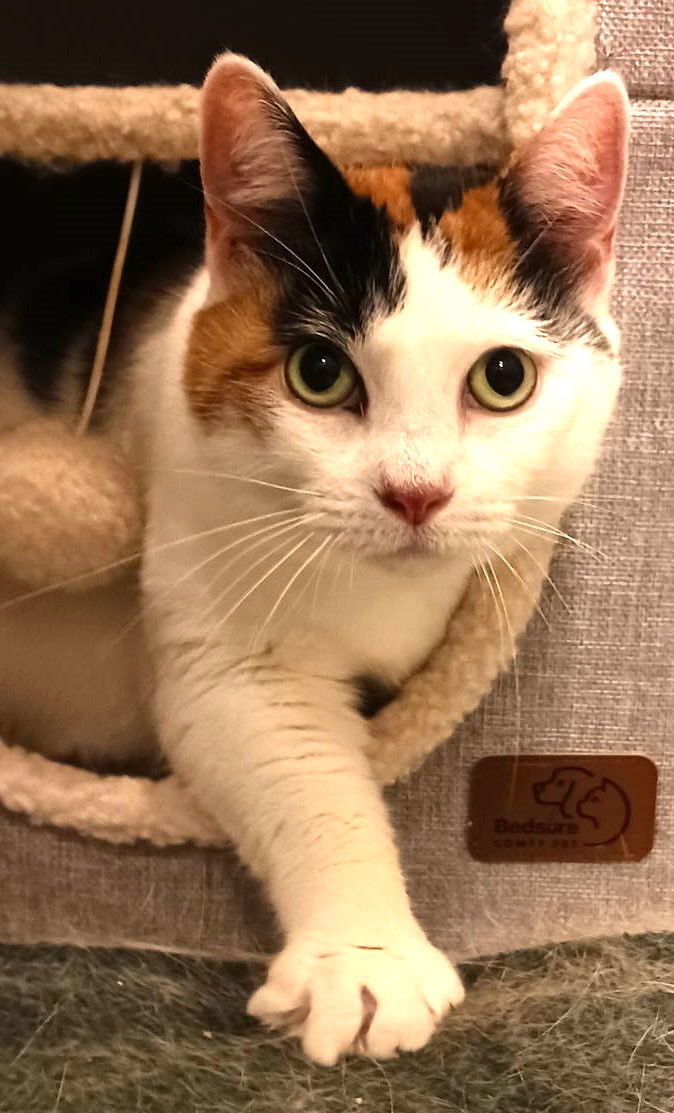 Mimi (Mama)
