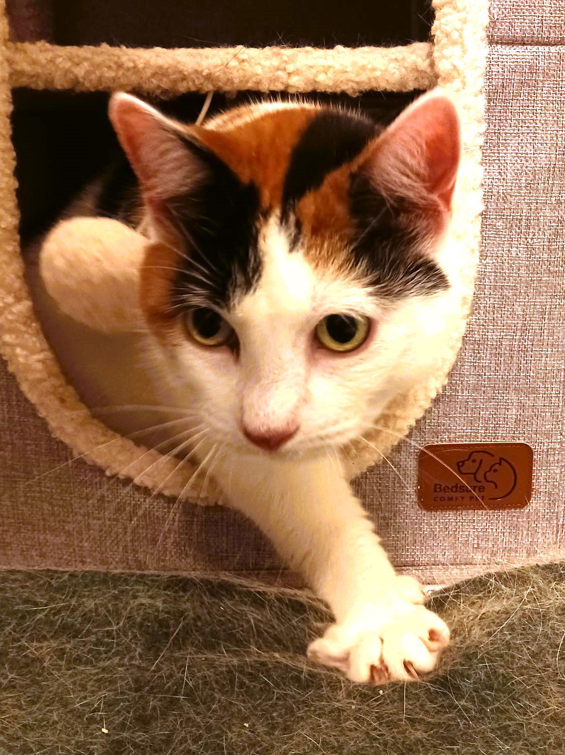 Mimi (Mama)