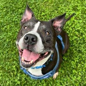 Rousey, Senior Female unknown
