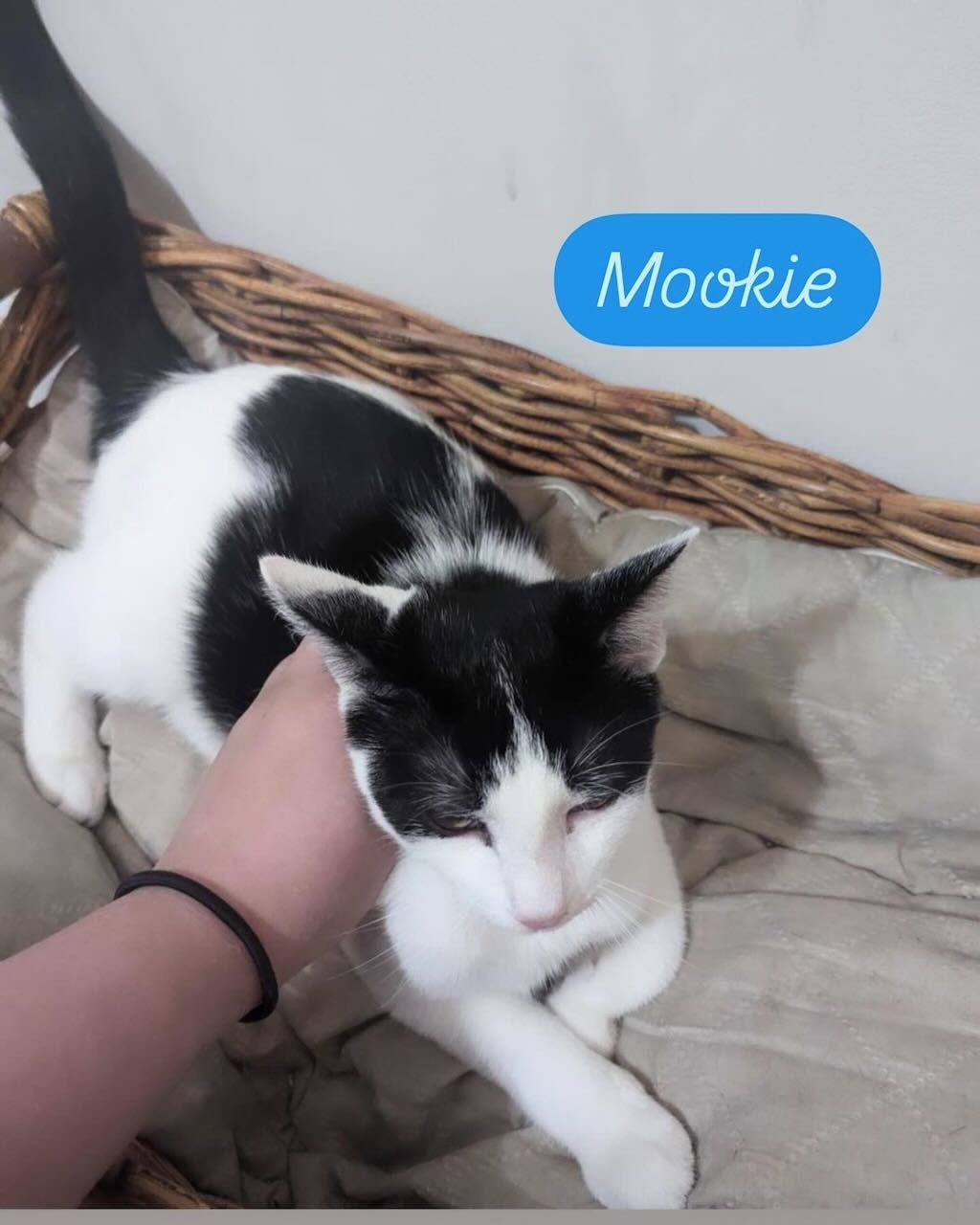 Mookie