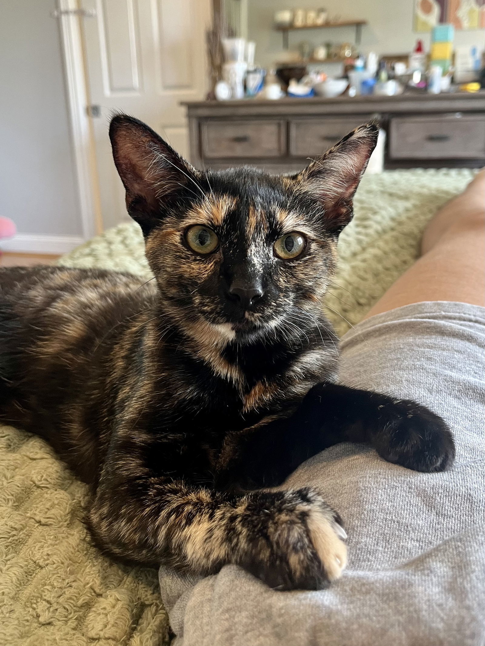 Missy