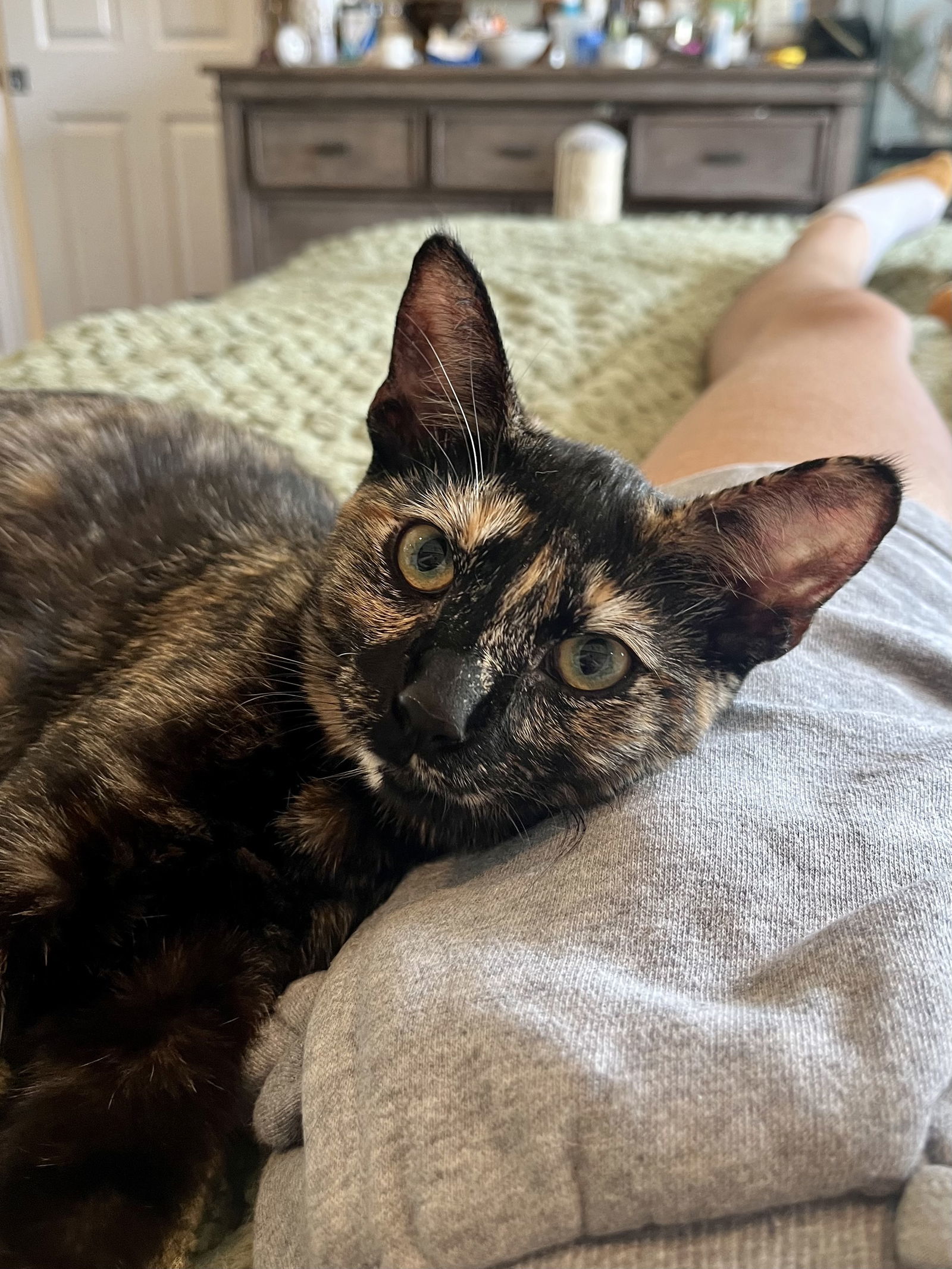 Missy