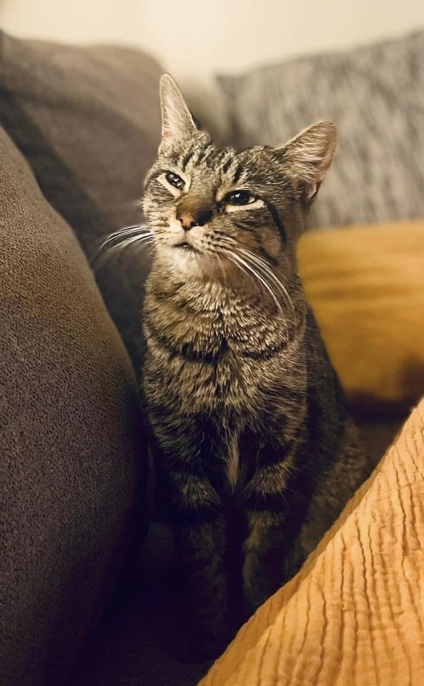 Ramona
