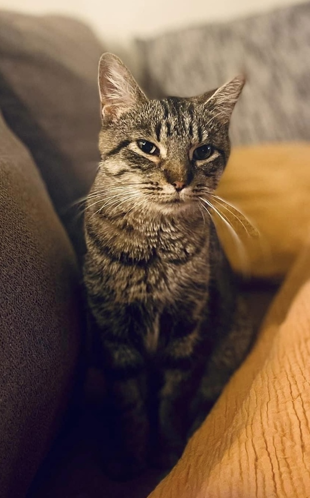 Ramona