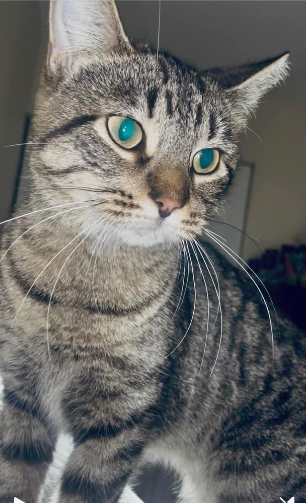 Ramona