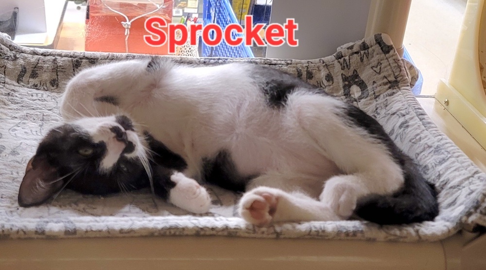 Sprocket