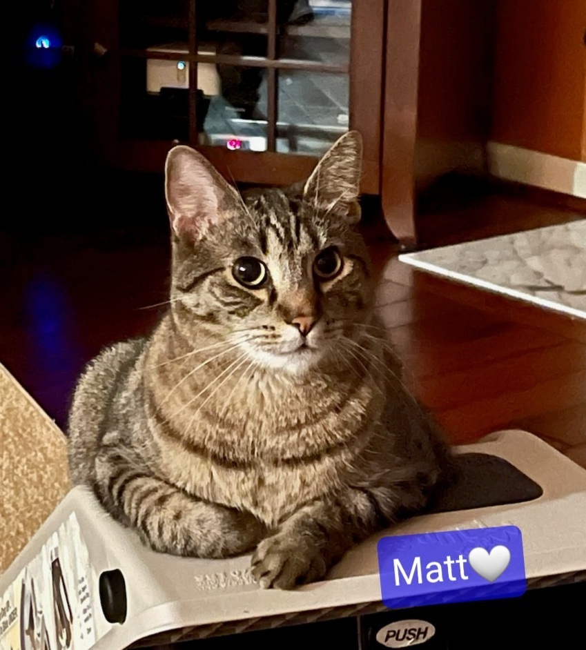 Matt