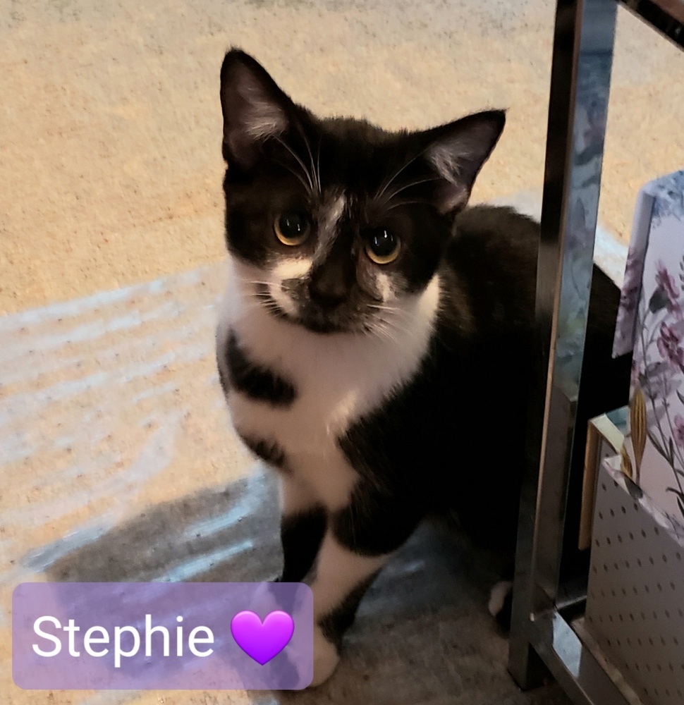 Stephie