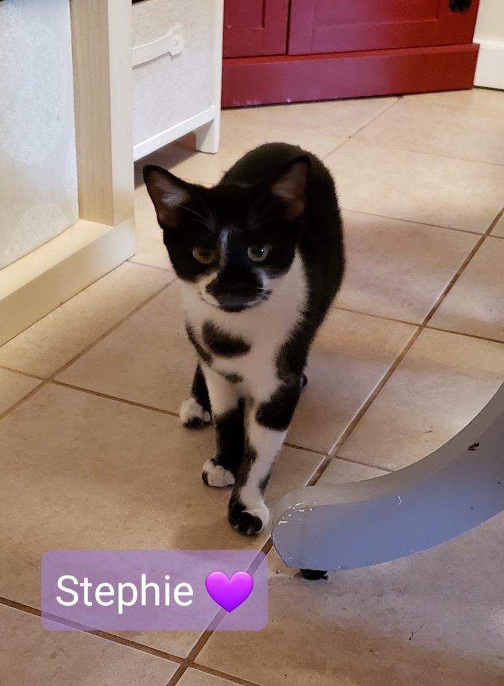 Stephie