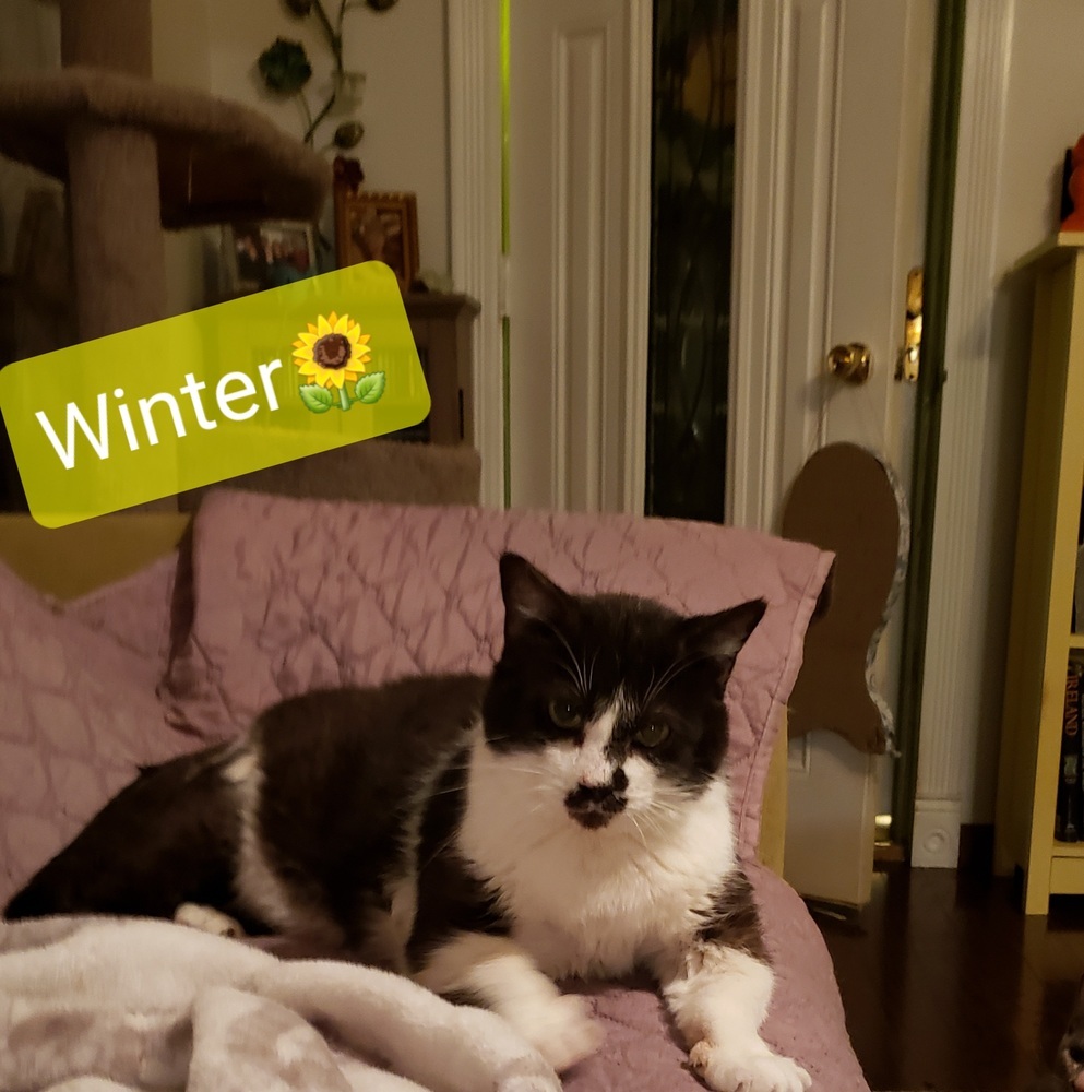Winter