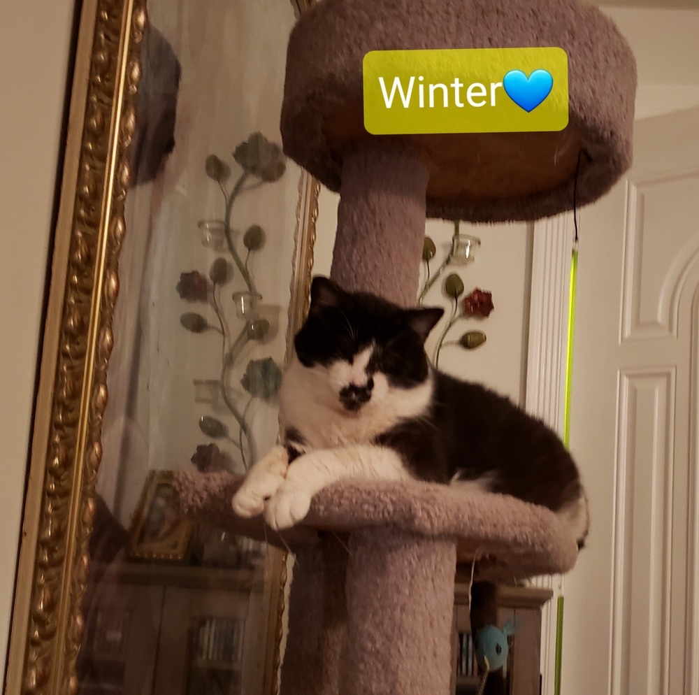 Winter