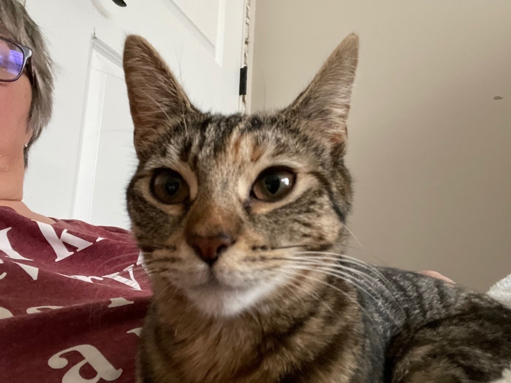 Whiskers