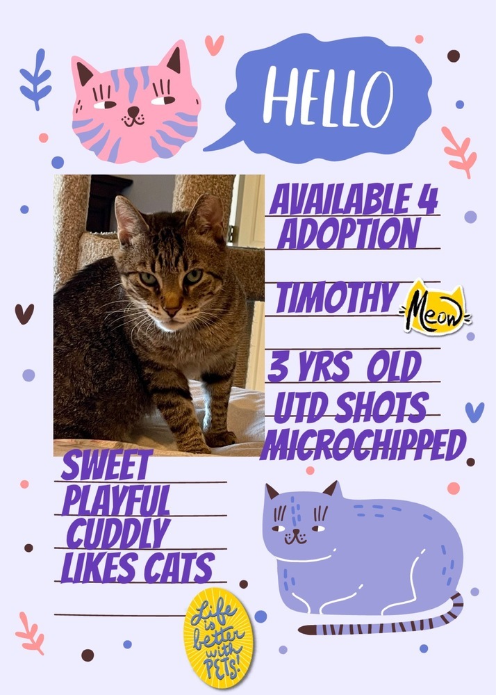 Timothy