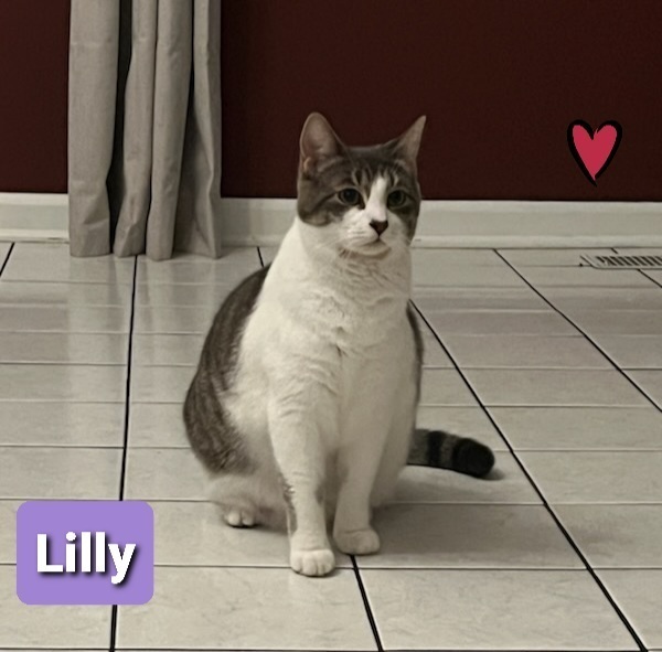 Lilly