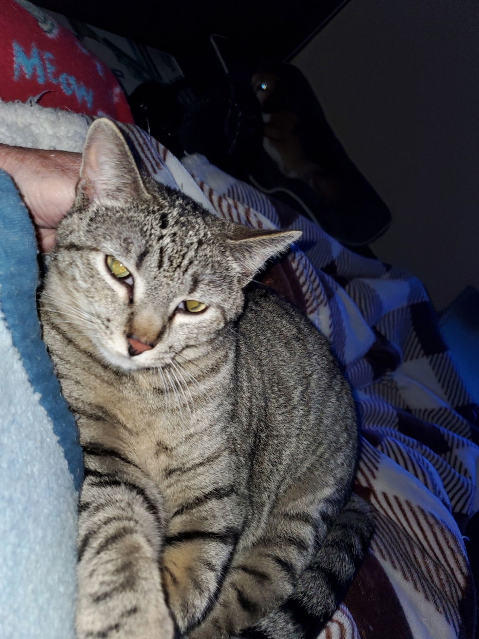 Abby