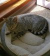 Abby photo 3