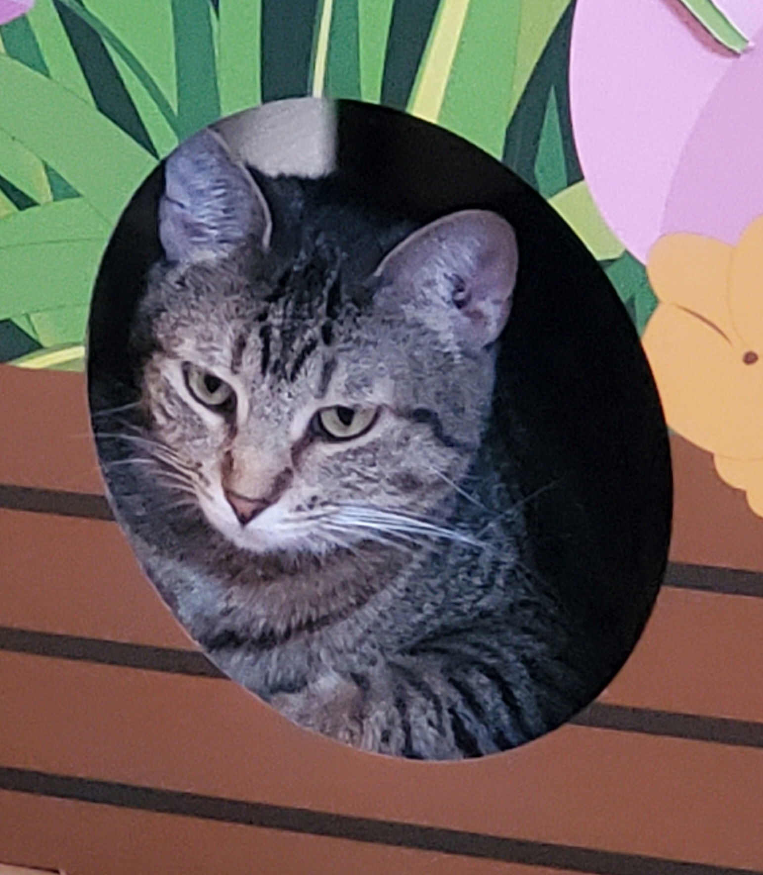 Tilly