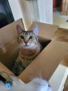 Tilly photo 2