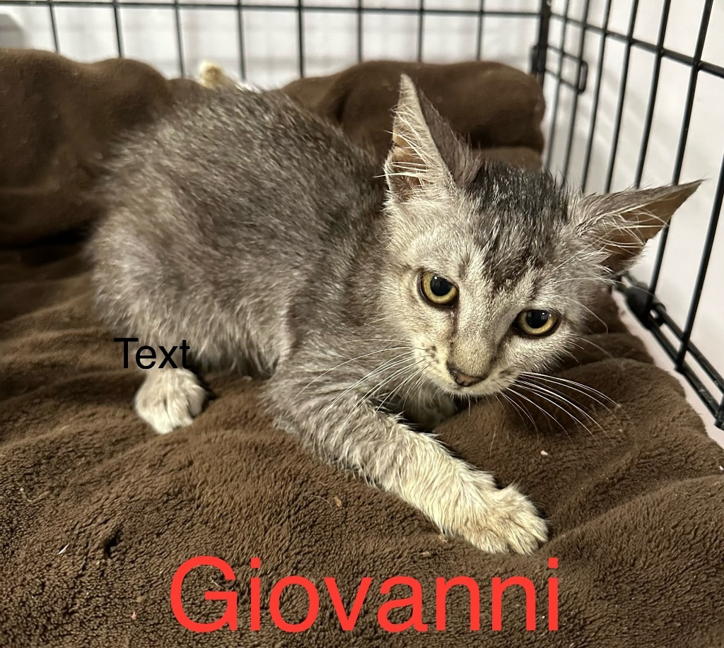 Giovanni