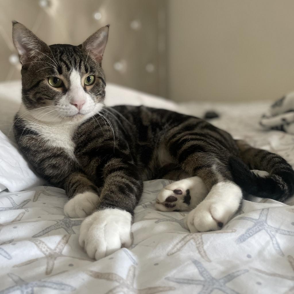 Marley