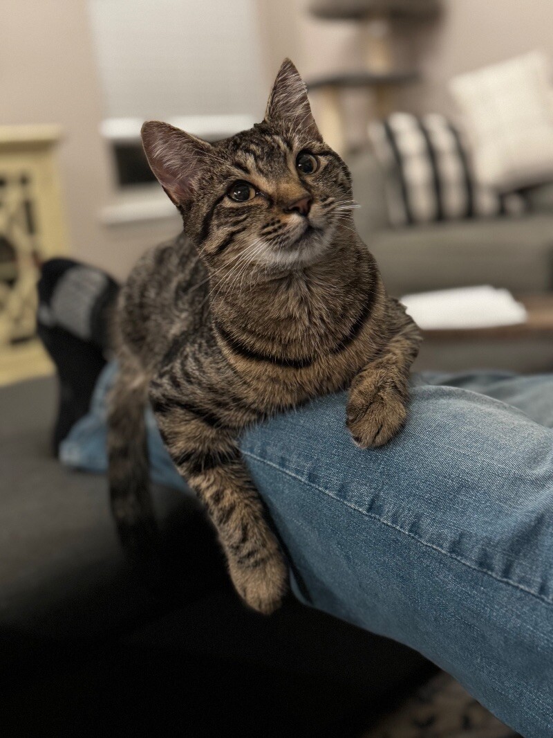 Freya