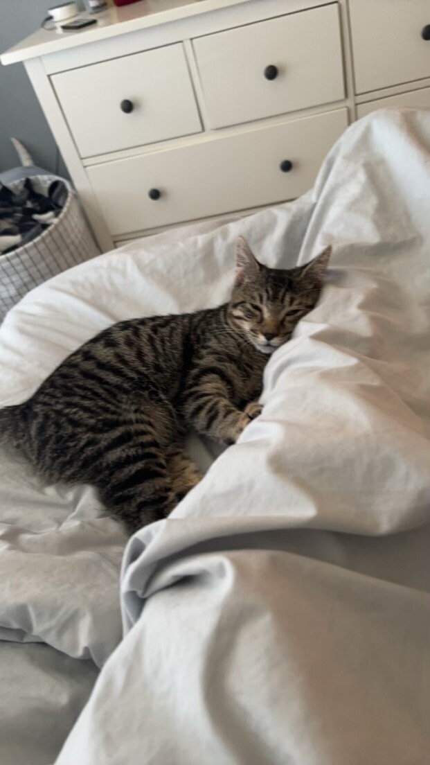 Freya