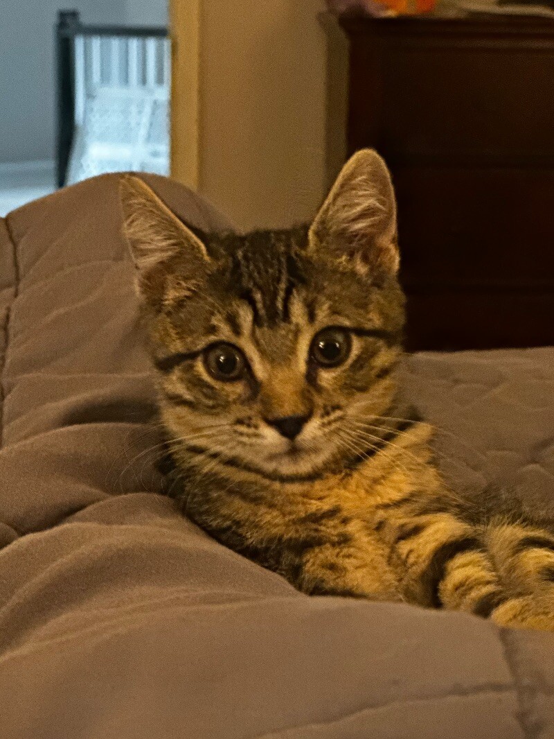 Freya