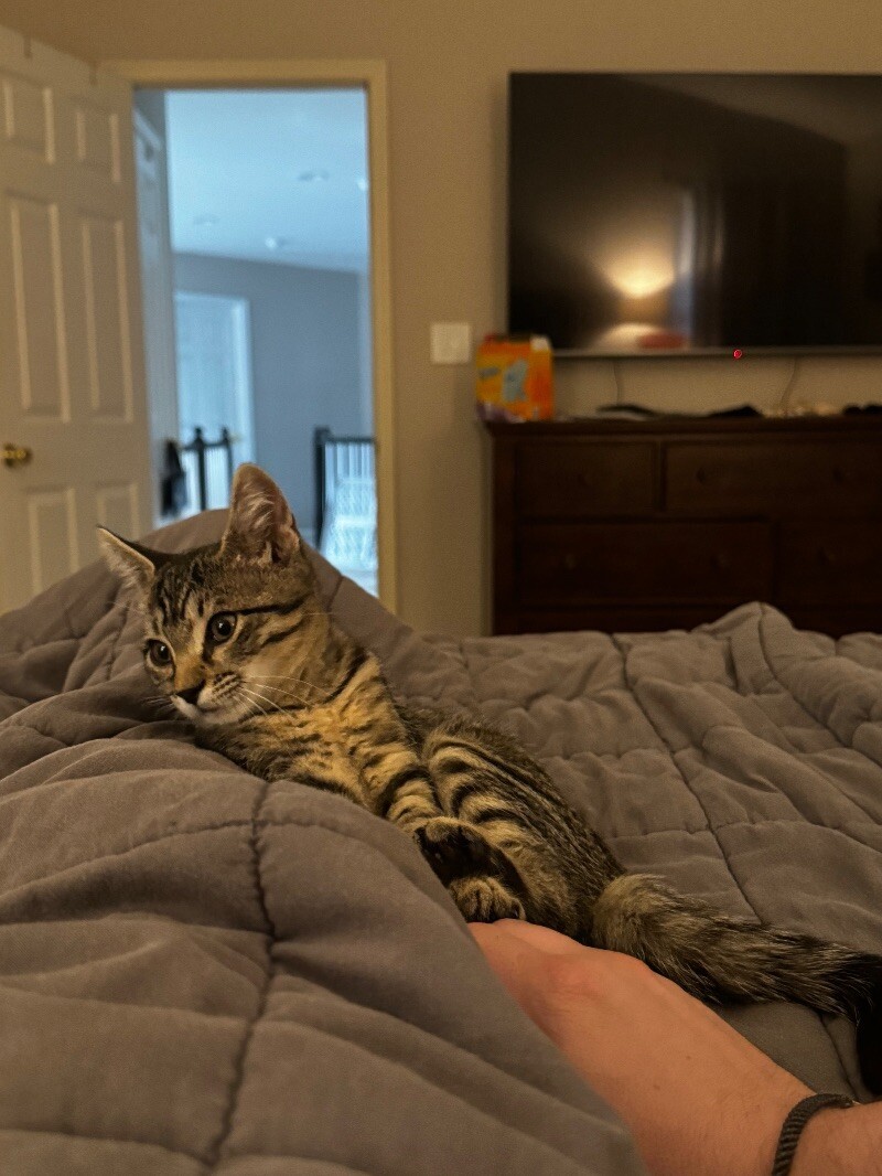 Freya