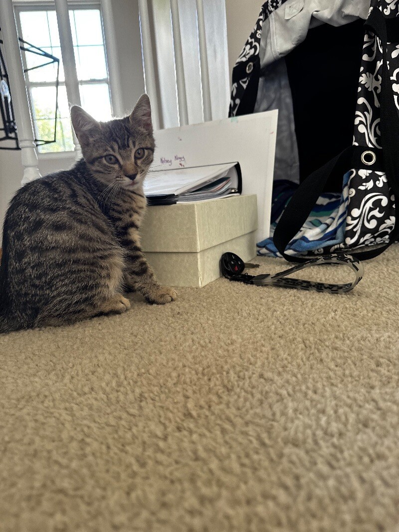 Freya