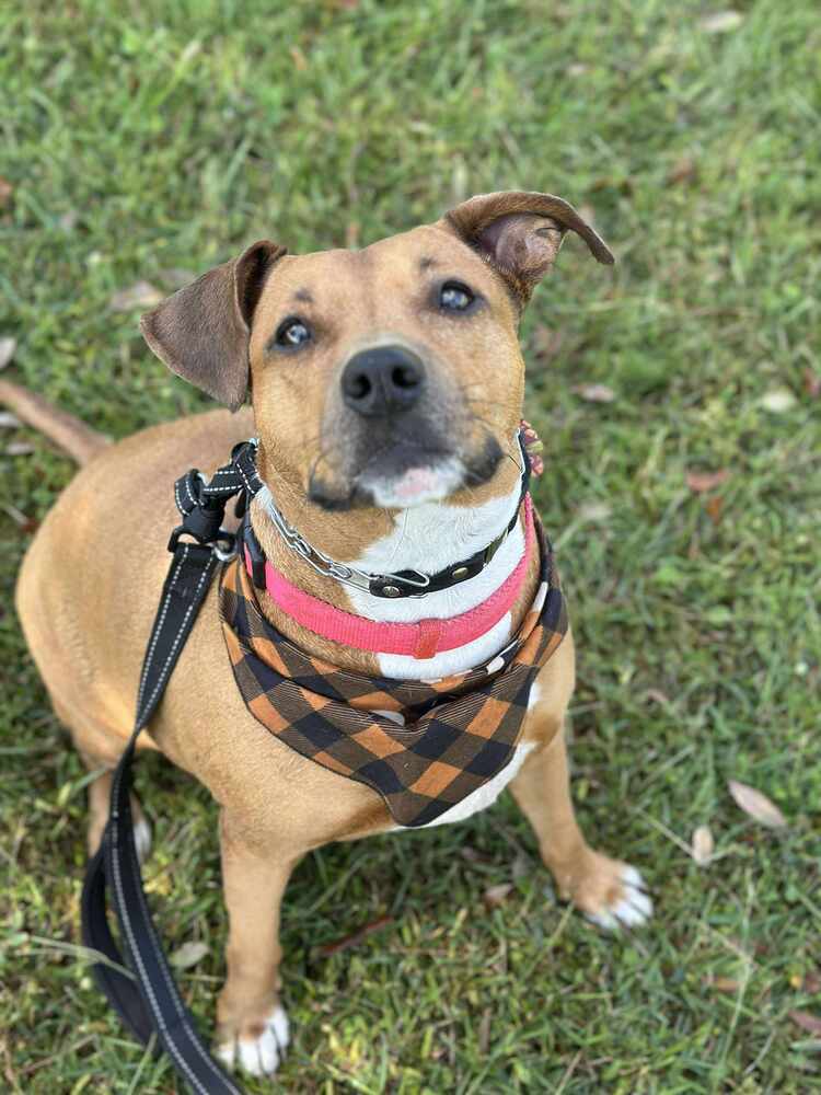 Sophia