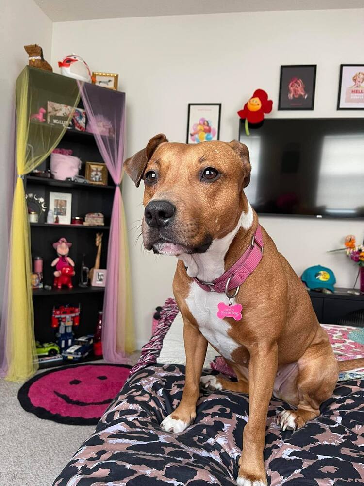 Sophia